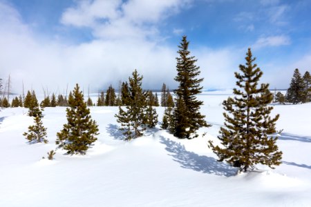 Beautiful winter Day in West Thumb Geyser Basin photo