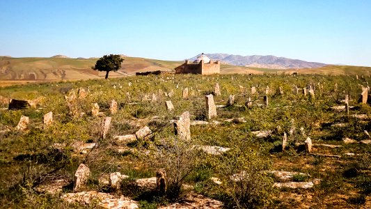 Cimetière de Sidi M'hamed مقبرة سيدي امحمد