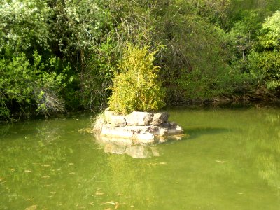 Garden of Silence, Taizé