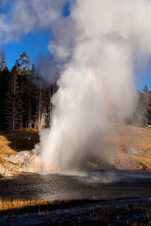 Riverside Geyser eruption portrait
