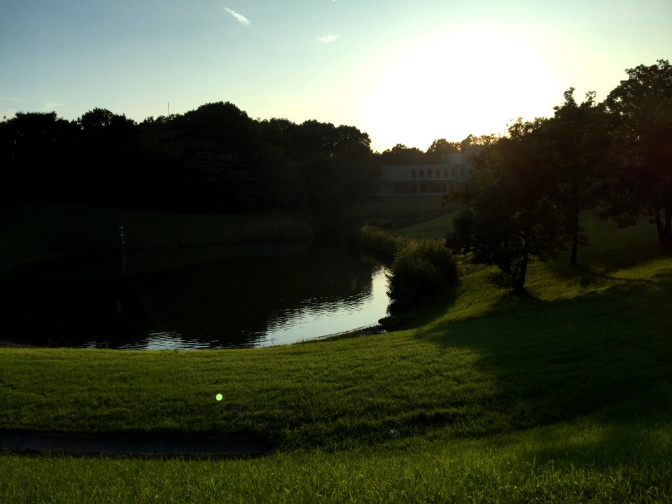 IMG 7588