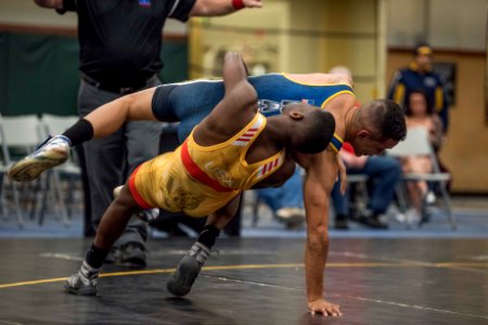 2019 Armed Forces Wrestling