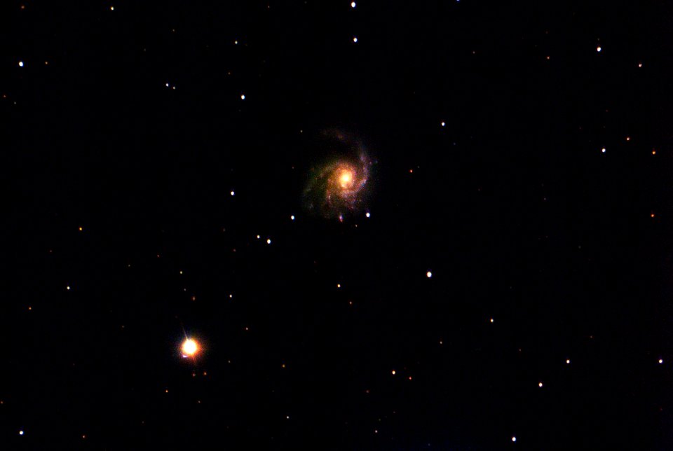 M99