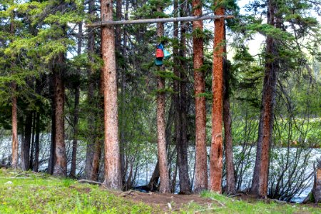 Food-hang area in camp