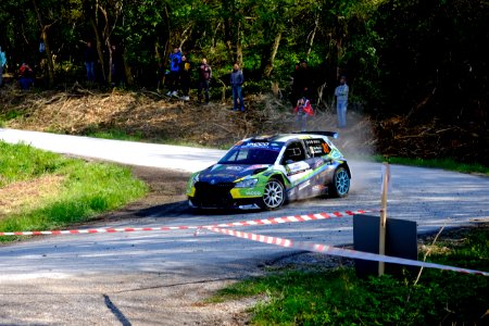WRC Skoda 08