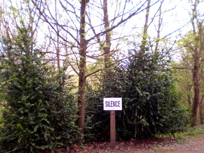 Silence, please!