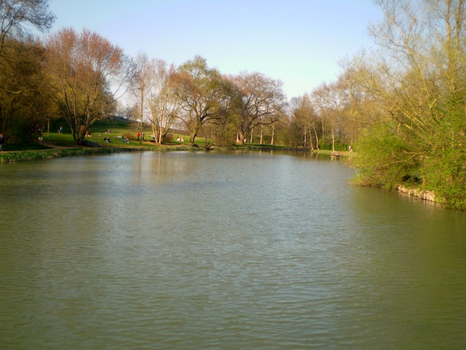 Lake in the Silent Garden, Taizé