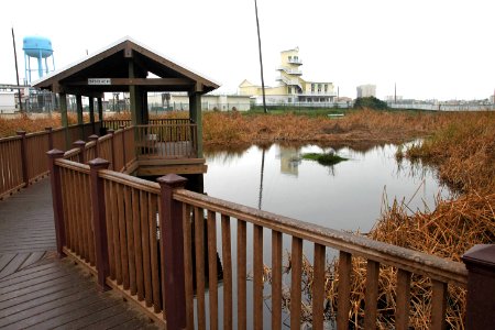 SOUTH PADRE ISLAND, World Birding Center -006