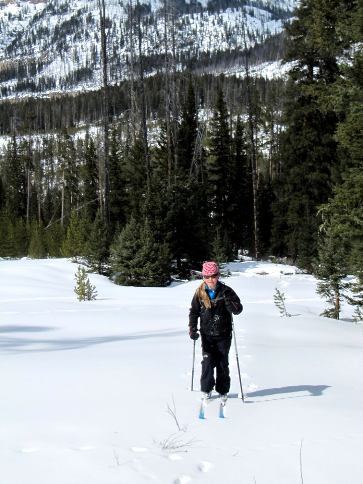 Skier on Bannock Ski Trail