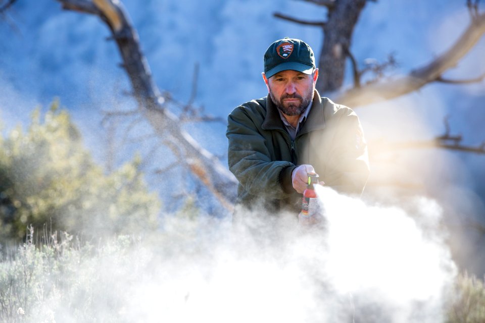A ranger deploying bear spray (inert can)