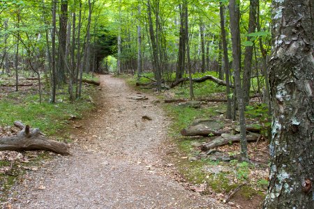 Stonyman Trail