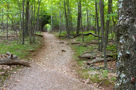 Stonyman Trail photo