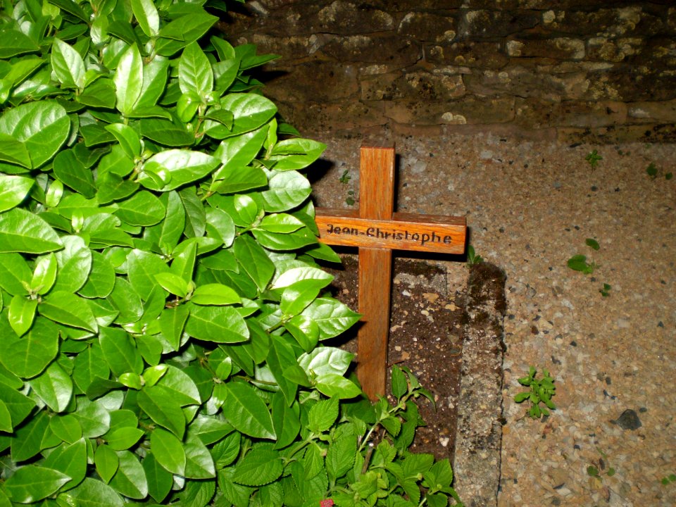 Cross Jean-Christophe, Taizè