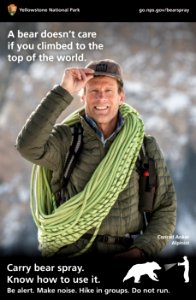 "A bear doesn’t care if you climbed to the top of the world."