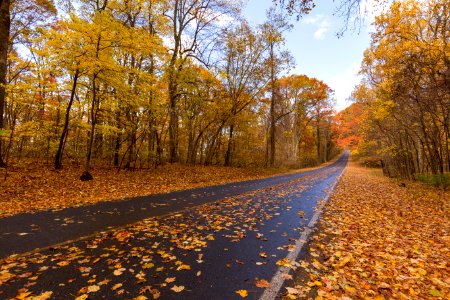 Fall at Low Gap photo