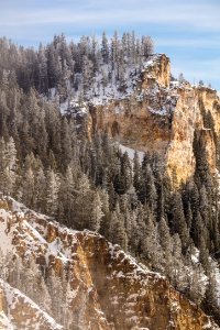 Details in the Grand Canyon of the Yellowstone photo