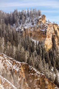 Details in the Grand Canyon of the Yellowstone