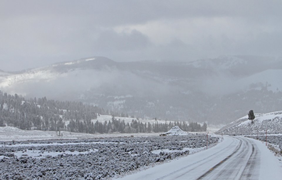 Snowy morning in spring