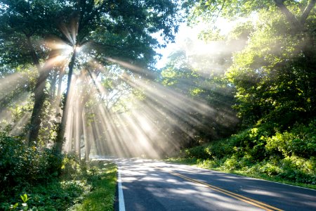Sun Rays on the Drive