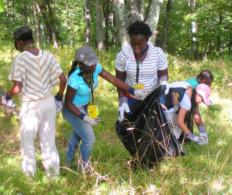 Pulling lots of invasive plants!