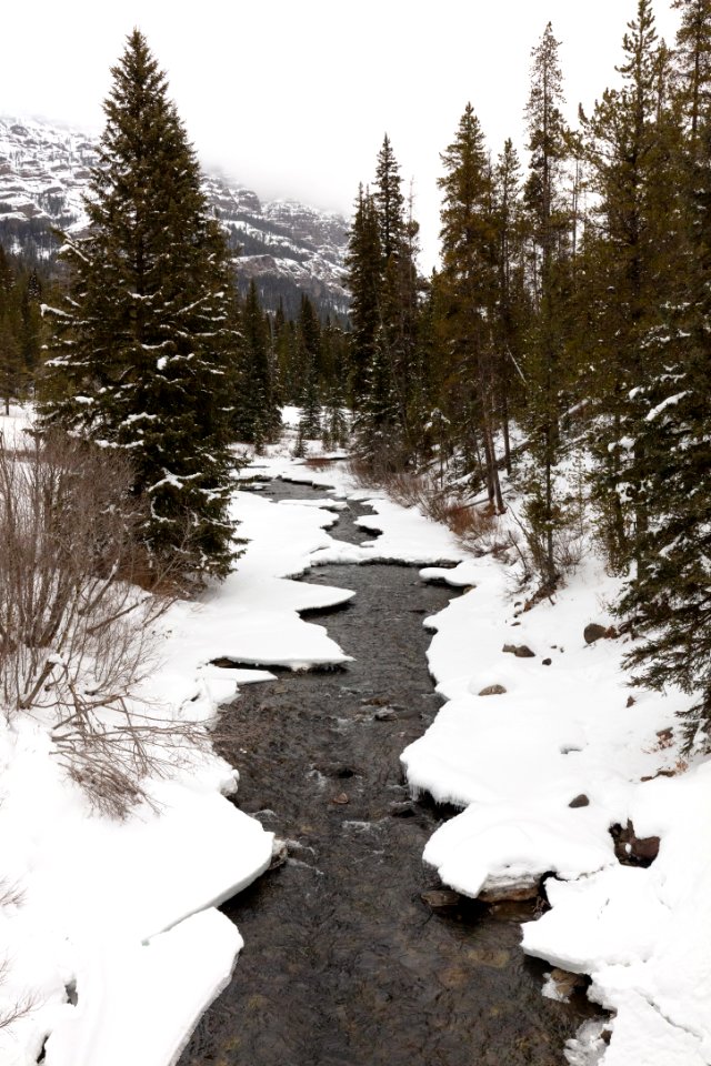 Soda Butte Creek on a snowy afternoon