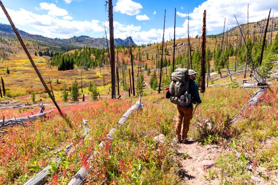 Fall colors in the Lake Abundance Creek drainage