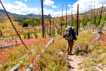 Fall colors in the Lake Abundance Creek drainage