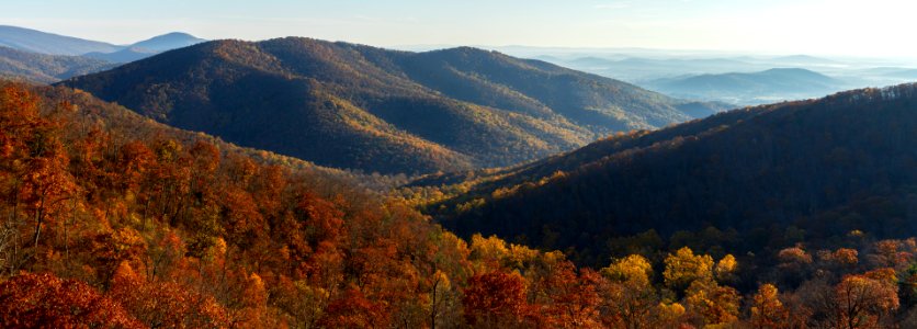 Late Fall Panorama