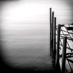 IMG 8962