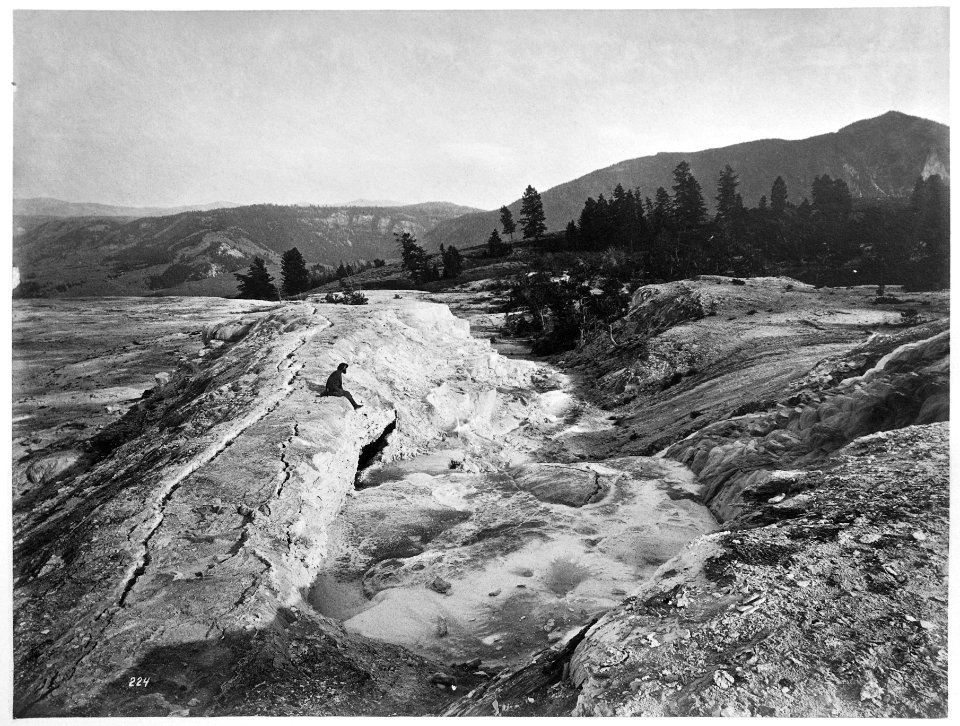 Mammoth Hot Springs