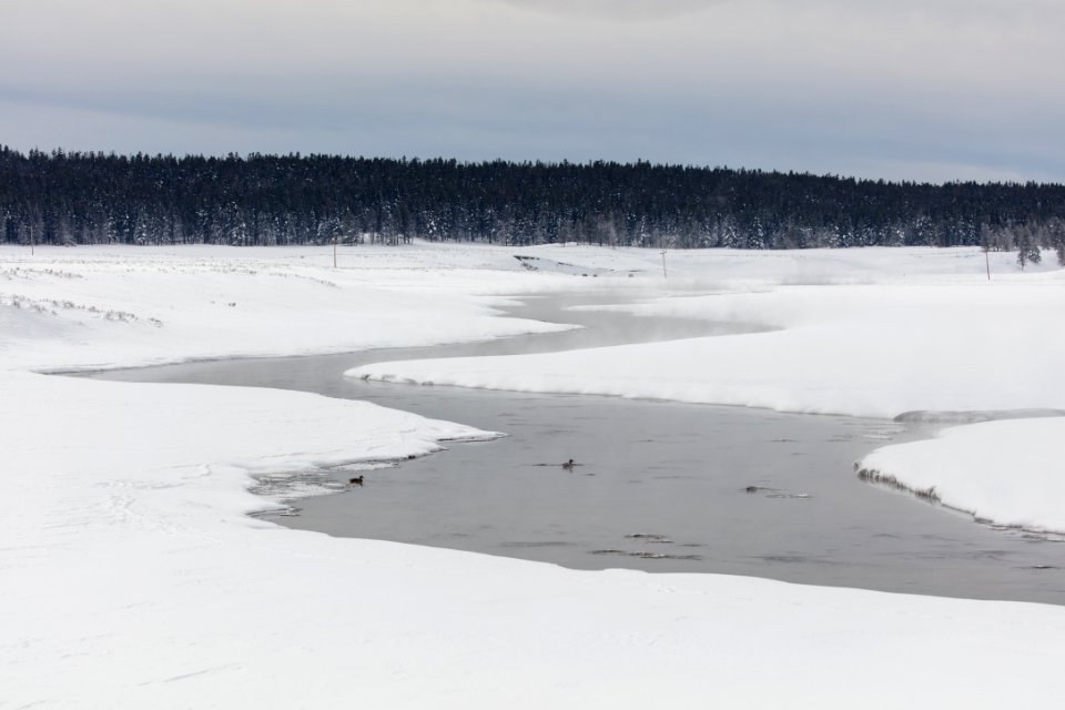 Alum Creek in Late Fall