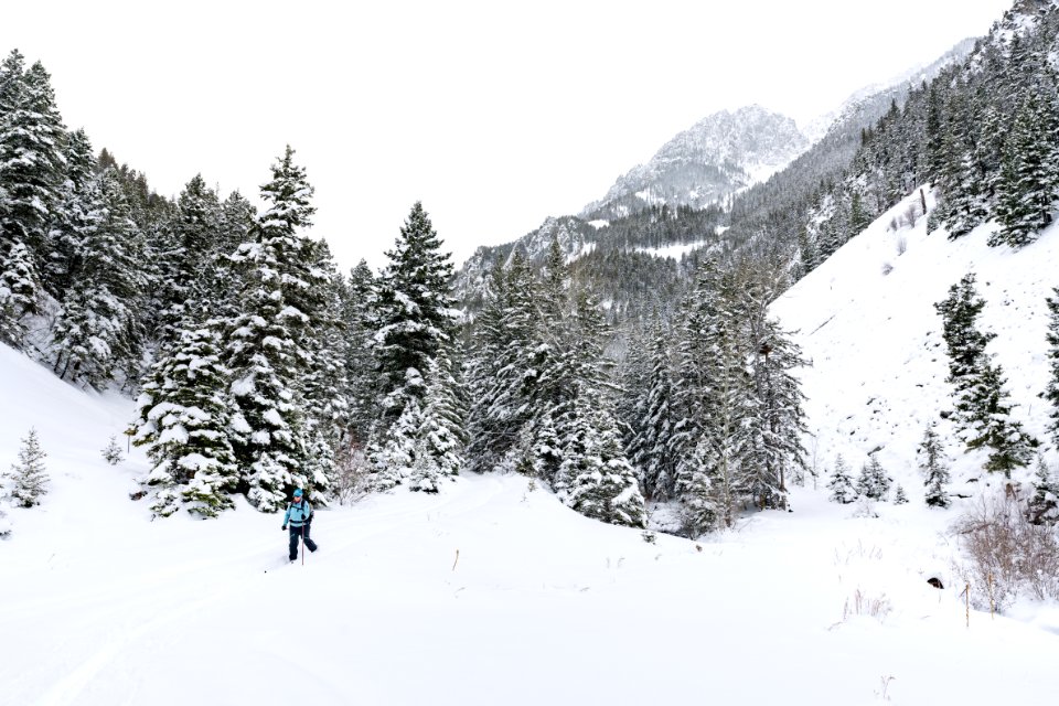 Skiing through Emigrant Gulch