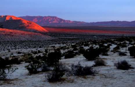 Campsite Off Bow Willow Road, south part of Anza Borrego S P, CA (3-13-2018) -07