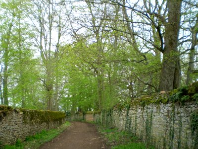 Way in Ameugny