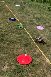 Practice Transect