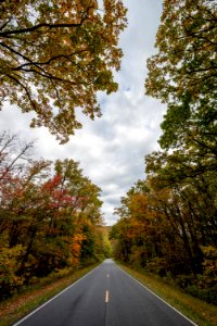 Fall Colors Above the Drive
