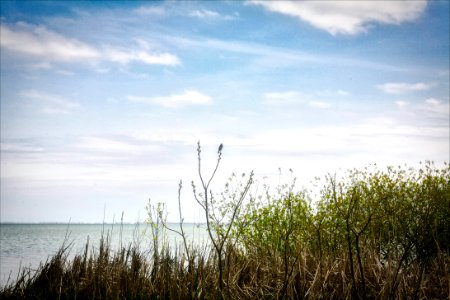 IMG 9802-Edit