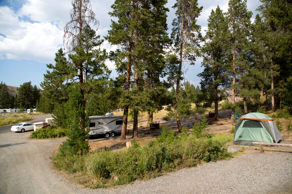 Sites in the Tower Campground