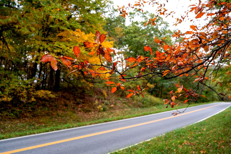 Nature Paints Along the Drive