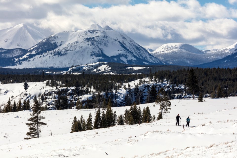 Skiing the Bunsen Peak Road Ski Trail