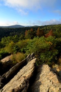 Early Maples at Hazel Mountain Overlook photo