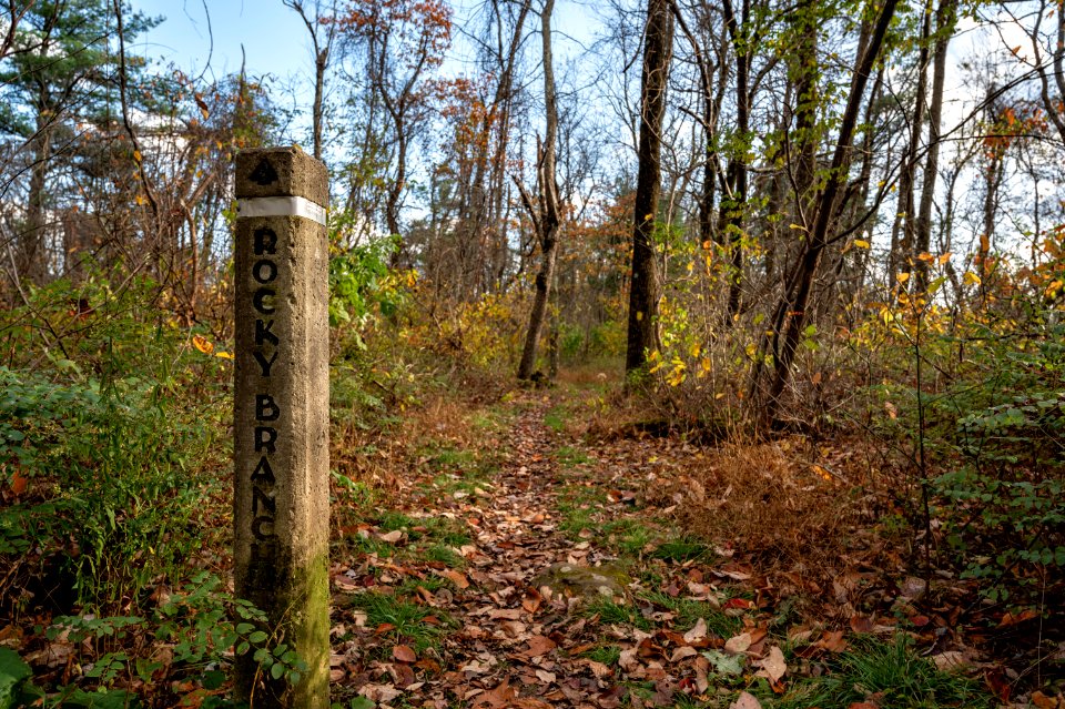 Rocky Branch Horse Trail photo