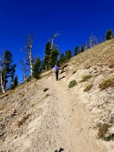 Trail up Avalanche Peak