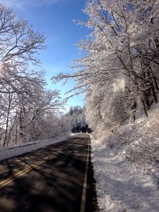 Ice Storm Damage photo