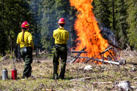 Northeast Entrance fuels project - monitoring a burn pile