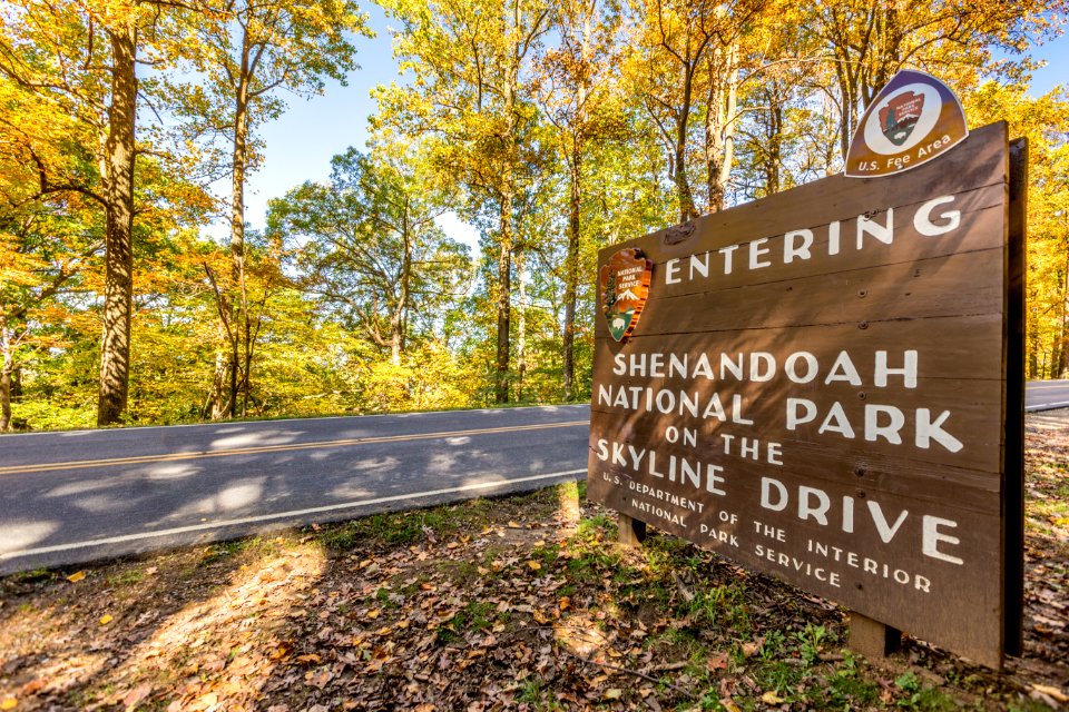 Now Entering Sign