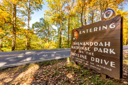 Now Entering Sign