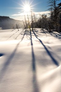 Shadows & fresh snow, Mammoth Springs photo
