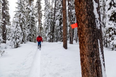 Cross-country skiing from Lone Star Geyser to Snow Lodge on the Howard Eaton Trail (3)