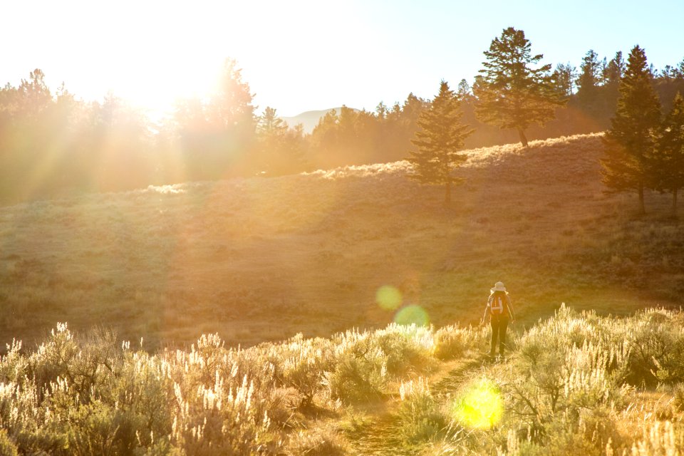 Hiking into the sun near Pleasant Valley